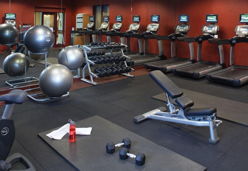 فندق Marriott Dfw Airport South