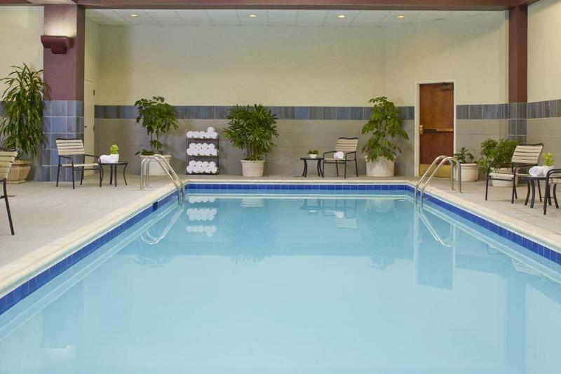 فندق Marriott Dfw Airport South