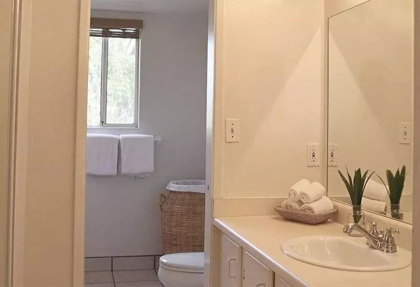 هتل Maui Garden Oasis