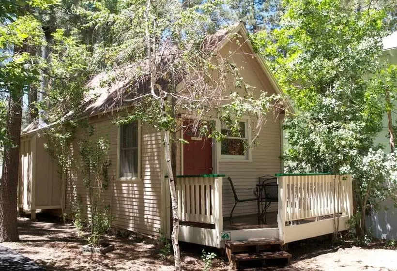 هتل Sleepy Forest Cottages