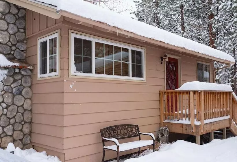 هتل Sleepy Forest Cottages