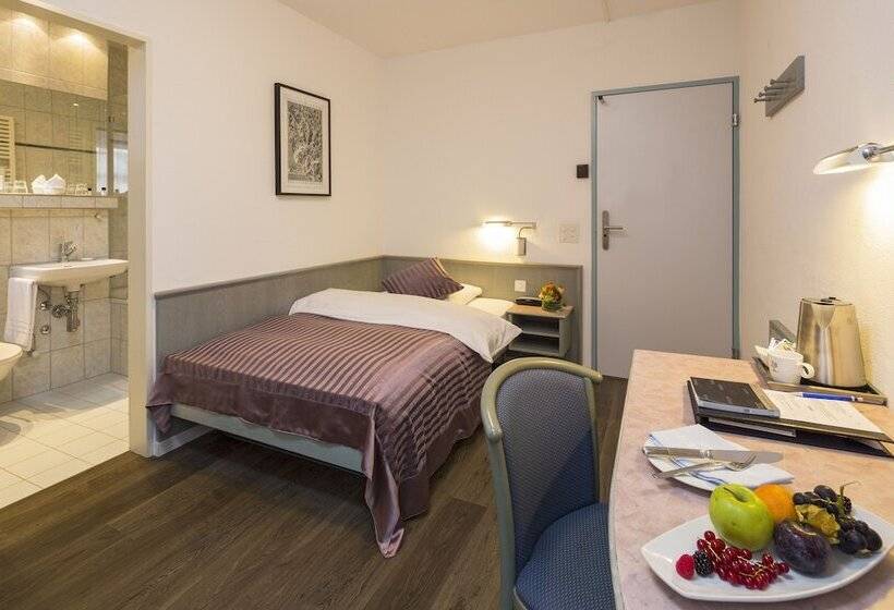 Hotel Sommerau Ticino Swiss Quality