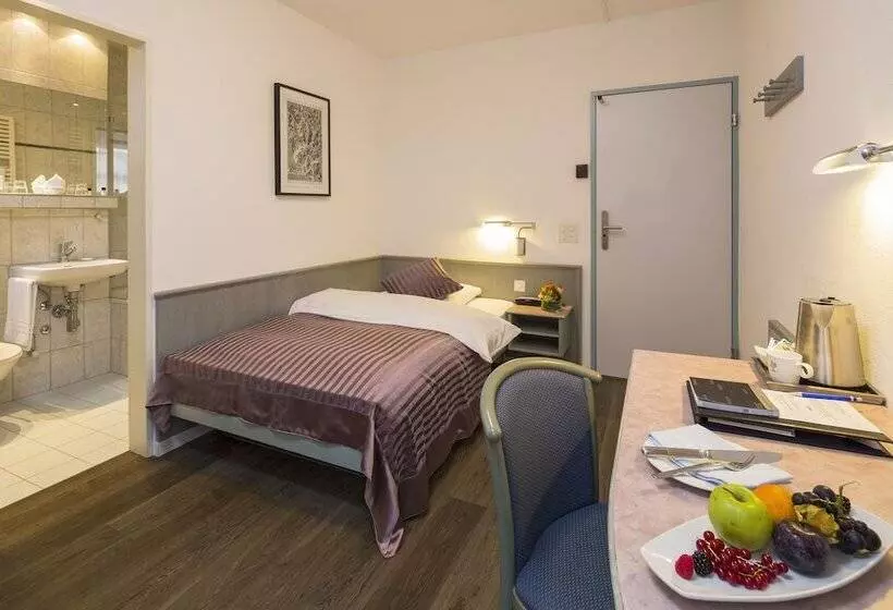 Hotel Sommerau Ticino Swiss Quality