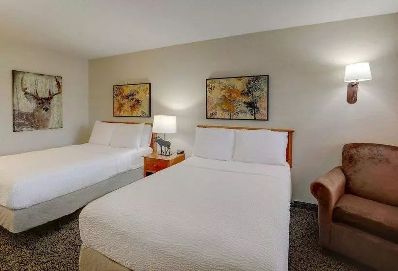 Отель Stoney Creek Inn Quincy