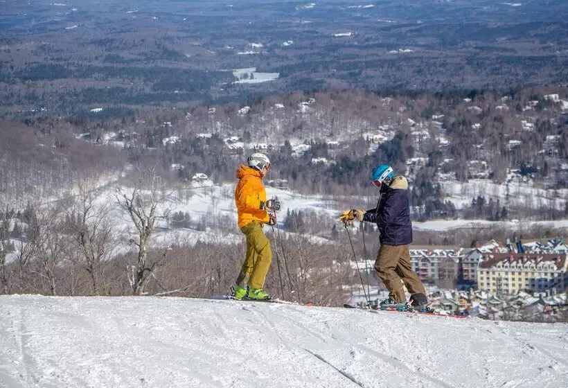 ホテル The Black Bear Lodge At Stratton Mountain Resort