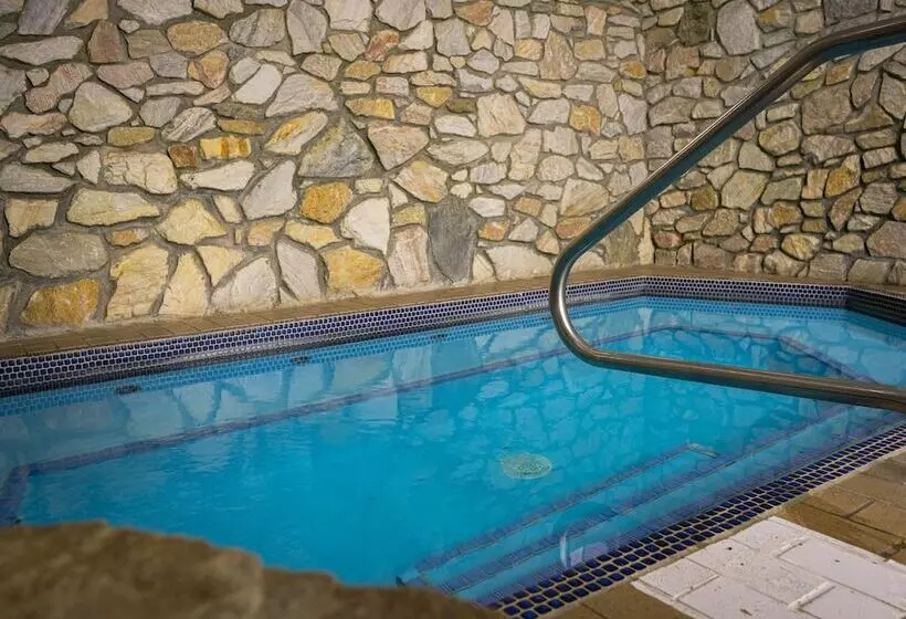 ホテル The Black Bear Lodge At Stratton Mountain Resort