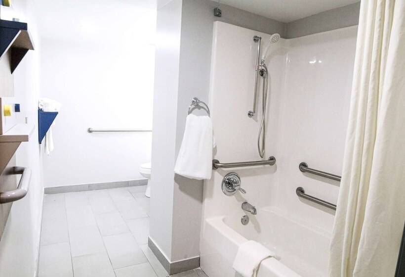 Microtel Inn & Suites By Wyndham Charlotte/northlake