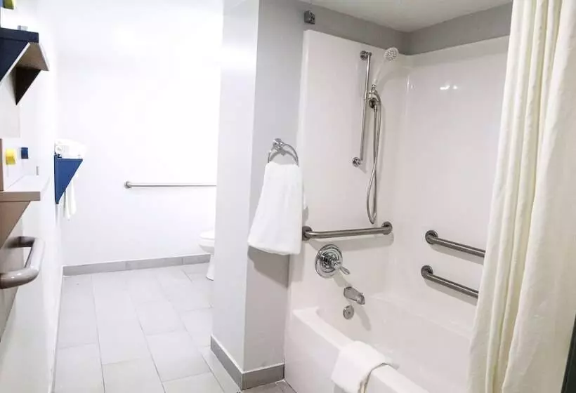 Microtel Inn & Suites By Wyndham Charlotte/northlake