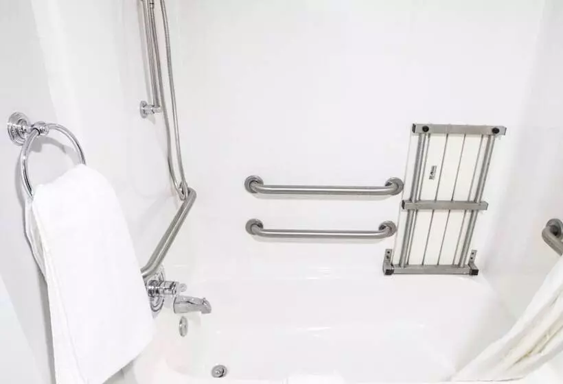 Microtel Inn & Suites By Wyndham Charlotte/northlake