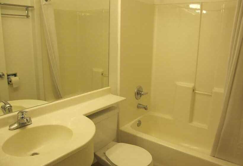 Eagle River Microtel