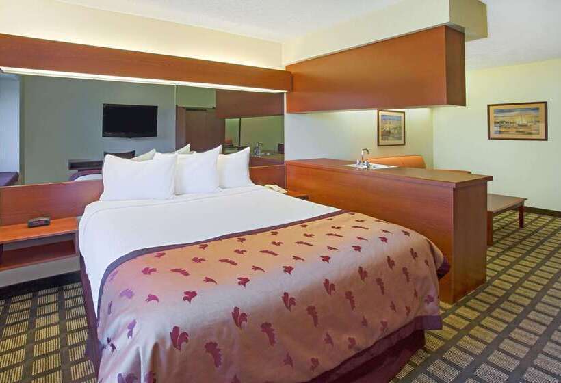 Microtel Inn & Suites By Wyndham Holland