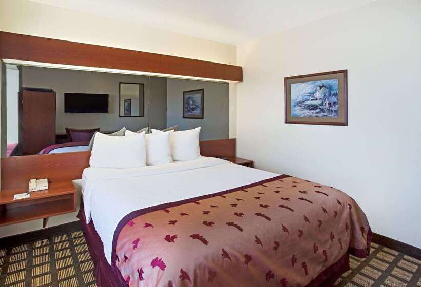 Microtel Inn & Suites By Wyndham Holland