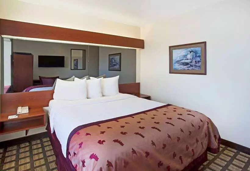 Microtel Inn & Suites By Wyndham Holland