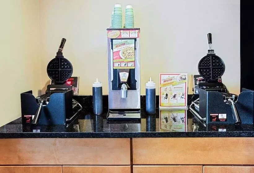 Microtel Inn & Suites By Wyndham Holland