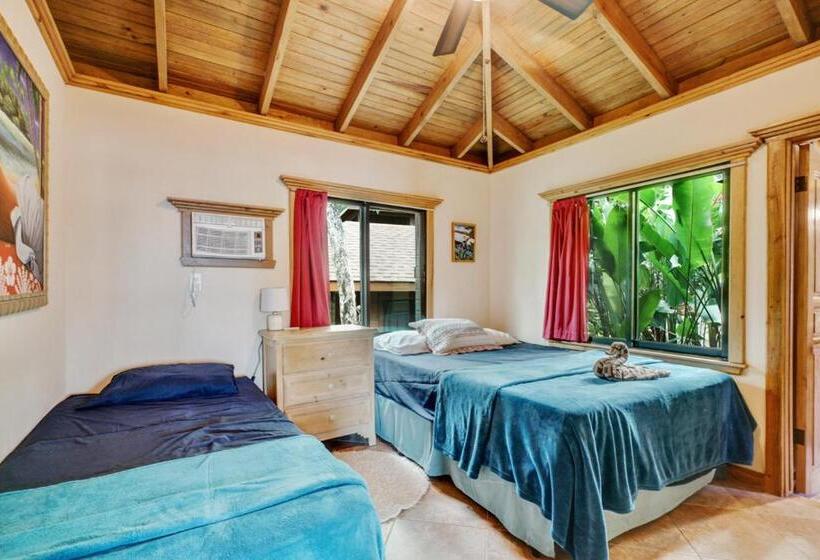 هاستل Turtle Beach Dive Resort