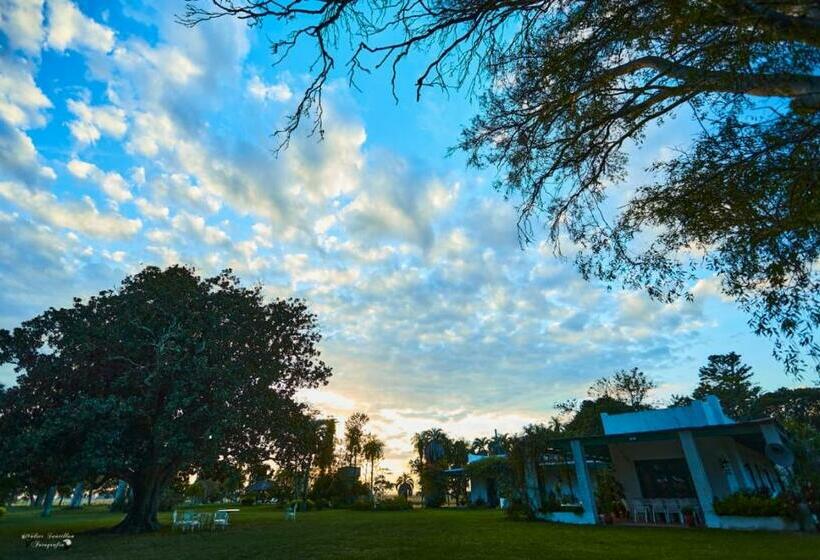 ホテル Estancia Buena Vista