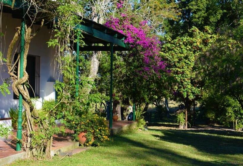 ホテル Estancia Buena Vista