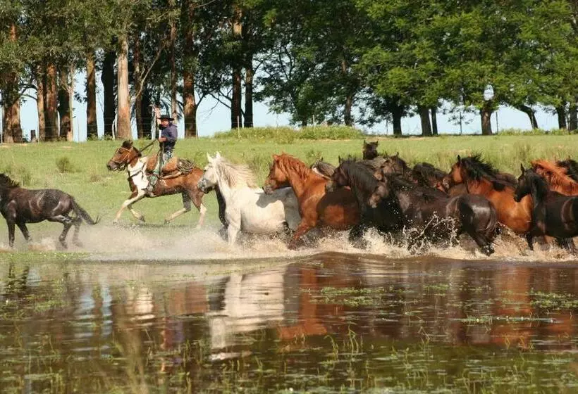 هتل Estancia Buena Vista