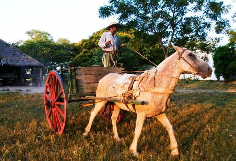 ホテル Estancia Buena Vista