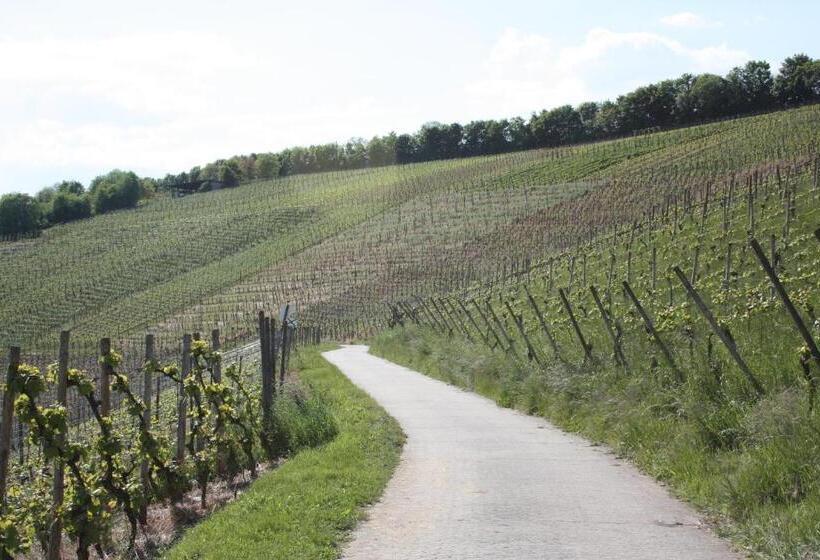 פנסיון Gästehaus Burgberg, Weinhaus Fries