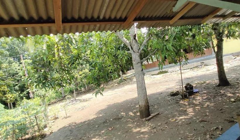 بنسيون Homestay Mbak Nur