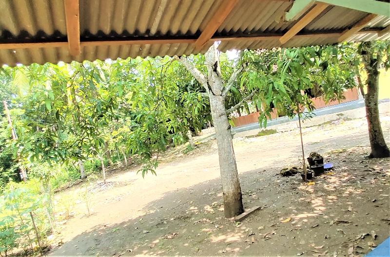 بنسيون Homestay Mbak Nur