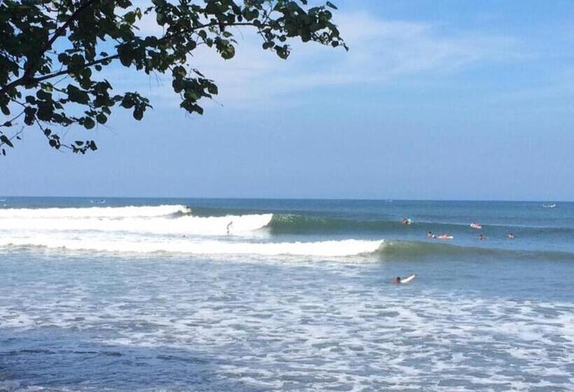 膳宿费 Medewi Surf Villa