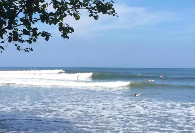 ペンション Medewi Surf Villa