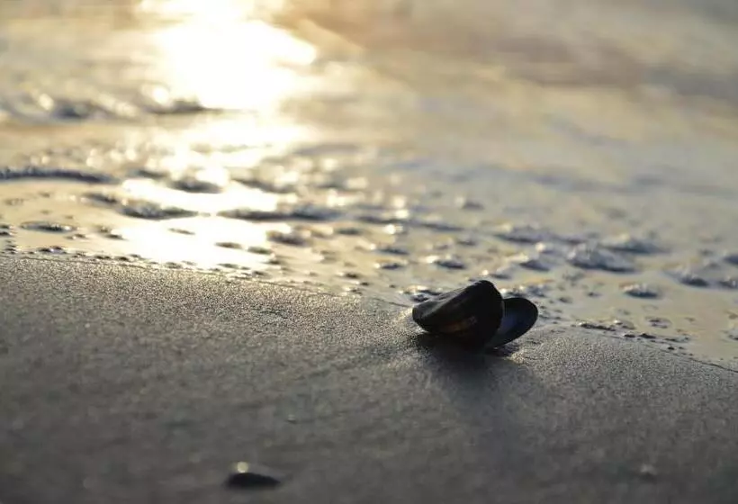 ホテル Breeze Ameland