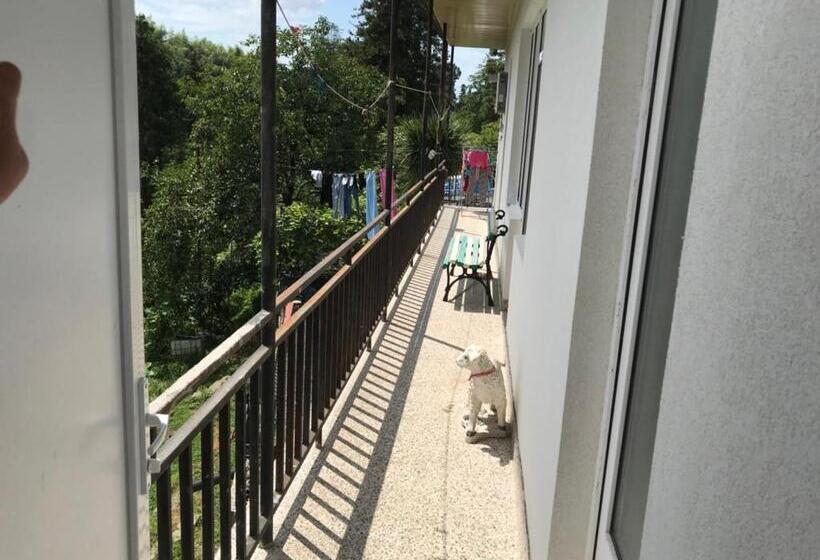 پانسیون Nika's Guest House