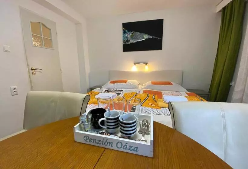 Pension Penzión Oáza