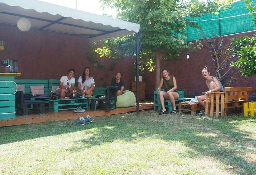 The Hood   Shkodra Backpackers Hostel