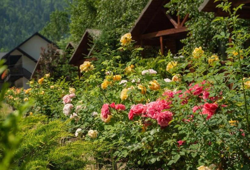 هتل Complex Adora