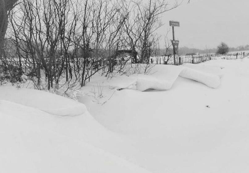 酒店 Havenzicht Texel