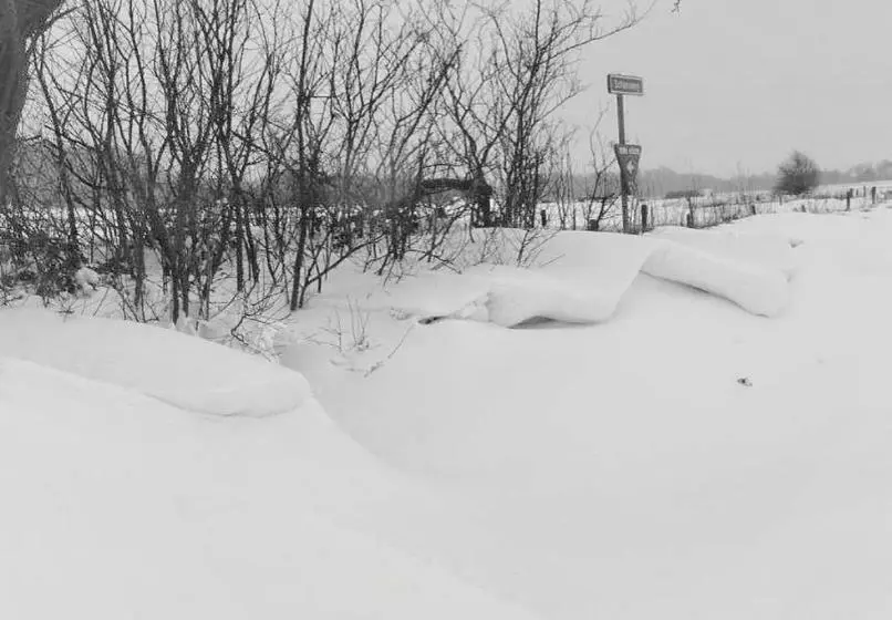 Hotelli Havenzicht Texel