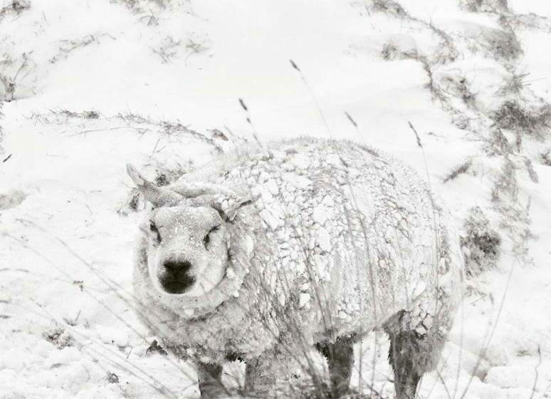 酒店 Havenzicht Texel