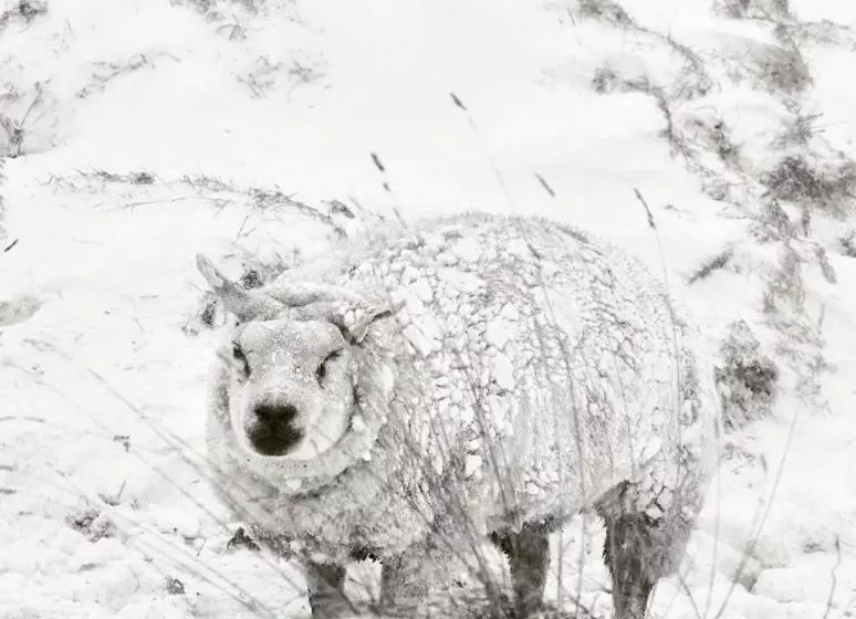 Hotelli Havenzicht Texel