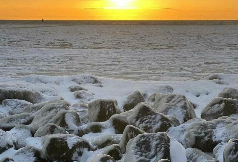 酒店 Havenzicht Texel