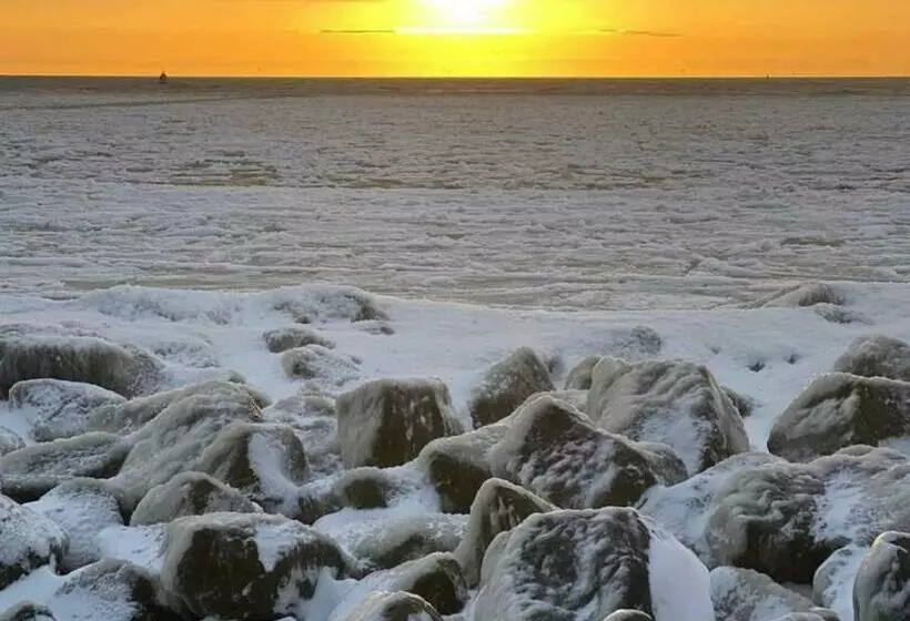 Hotelli Havenzicht Texel