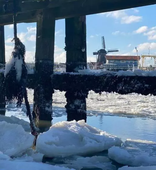 Hotelli Havenzicht Texel