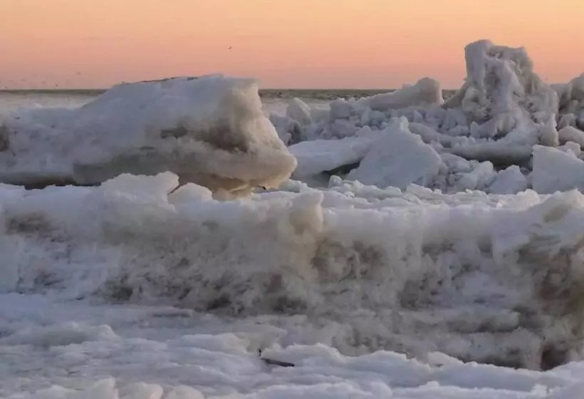 Hotelli Havenzicht Texel