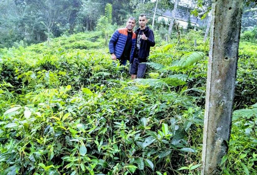 Herberge New Mount Villa