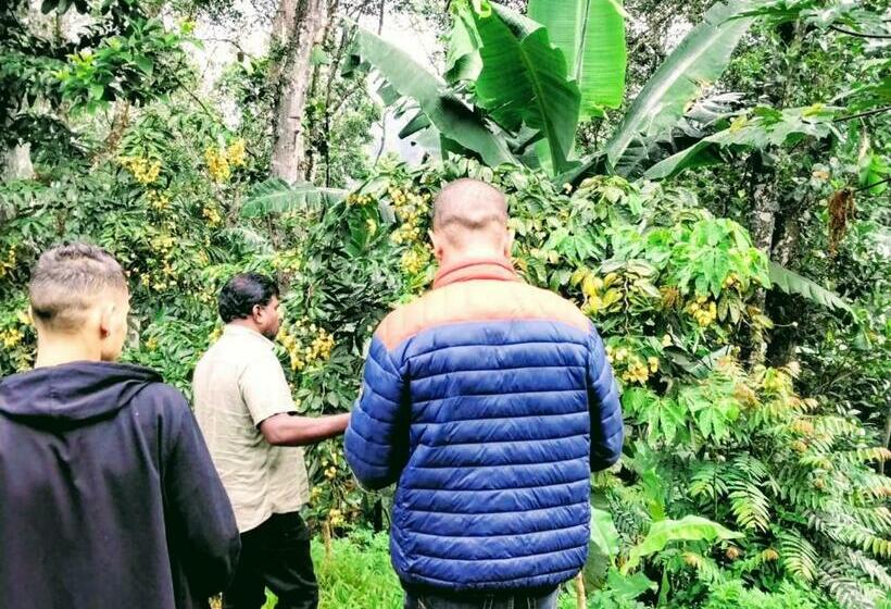 Herberge New Mount Villa