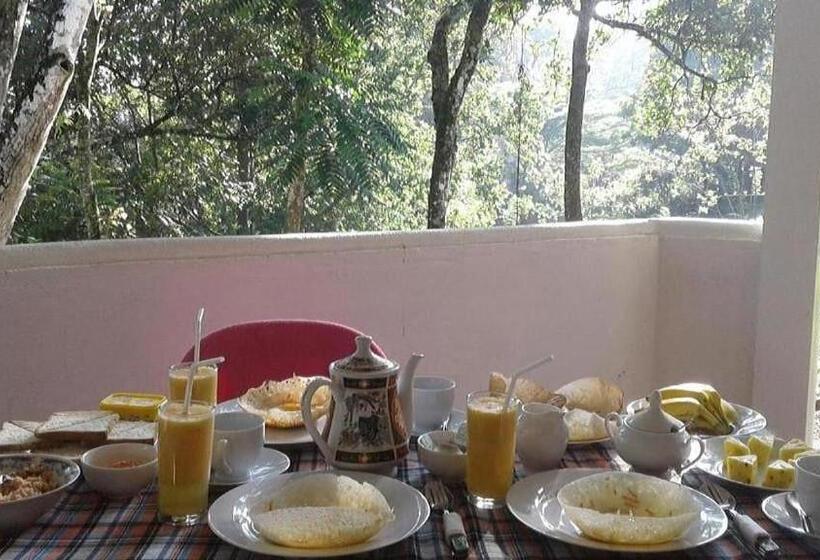 Herberge New Mount Villa