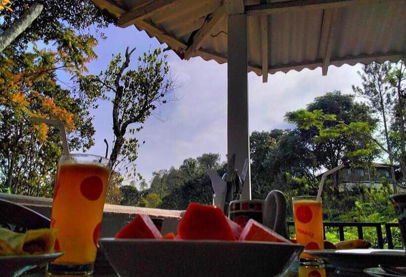 Herberge New Mount Villa