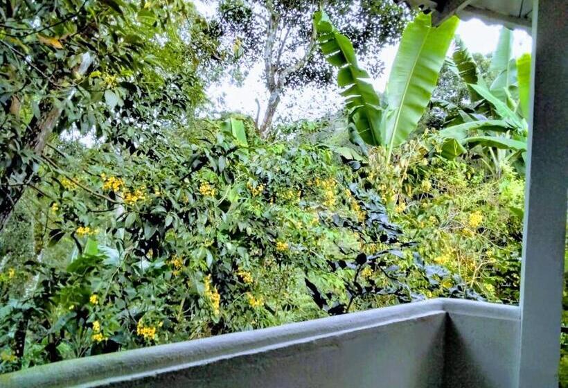 Herberge New Mount Villa