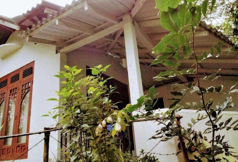 Herberge New Mount Villa