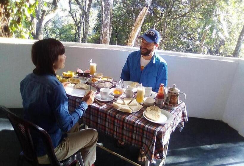 Herberge New Mount Villa