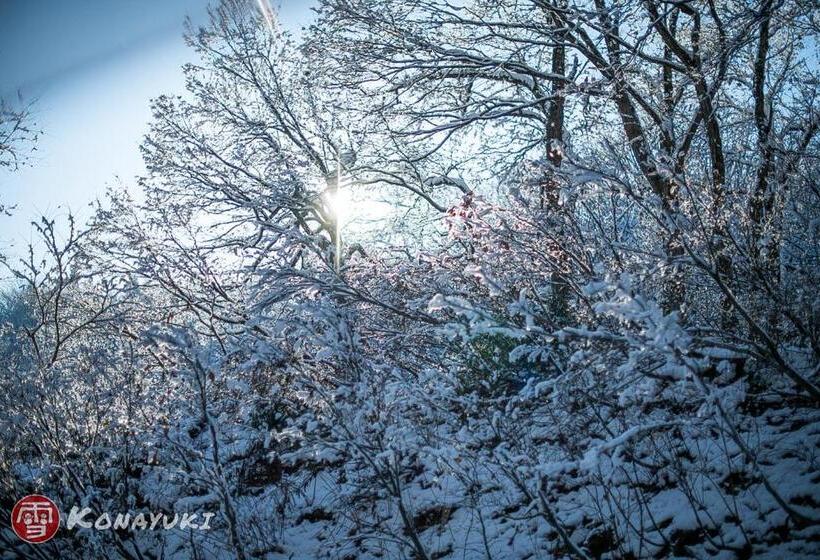 بنسيون Konayuki