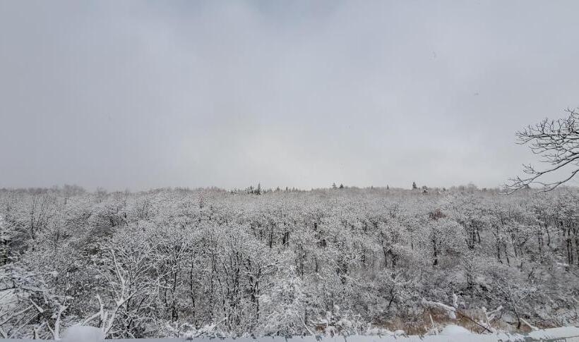 بنسيون Konayuki